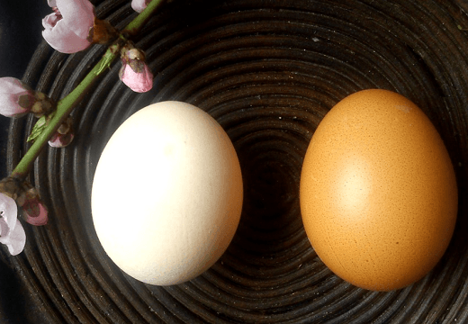 Diaconies de Pâques et blanchiment des œufs - Kristina Gašpar - Recettes et livre de recettes en ligne