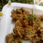 poulet stroganoff au céleri Suzana Mitic recettes et livre de cuisine en ligne