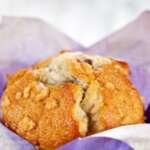 Mini Muffin Cheesecakes Recepti i Kuvar online