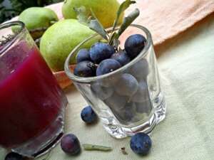 How to make homemade fruit tea? - Kristina Gašpar - Recipes and Cookbook online