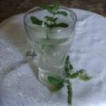 Homemade mint juice - Slađana Šćekić - Recipes and Cookbook online