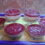 Cheesecake with raspberries - Tatjana Stojanović - Recipes and Cookbook online