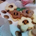 Chocolate cookies - Suzana Mitić - Recipes and Cookbook online