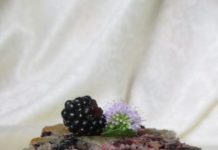 Brzi kolač od kupina