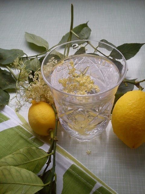 Začinite sok od zove đumbirom - Kristina Gašpar - Recepti i Kuvar online