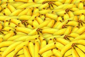 Banane za doručak - čudo za organizam! - Pixabay