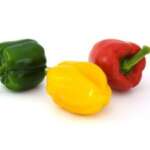 Gefüllte frische Paprika - Rezepte und Kochbuch online - Pixabay