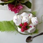 gelato veloce con lamponi Kristina Gaspar ricette e ricettario online 05