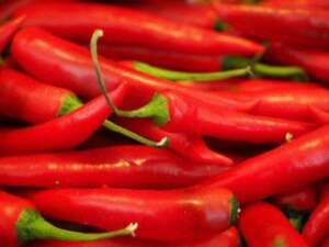 Hot peppers - Pixabay