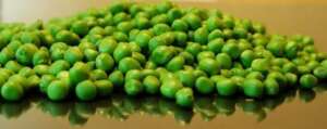 Peas are a treasure trove of medicinal ingredients - Pixabay