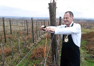 Dragan Mijailović, vlasnik vinarije Trilogija - foto vinarija Trilogija