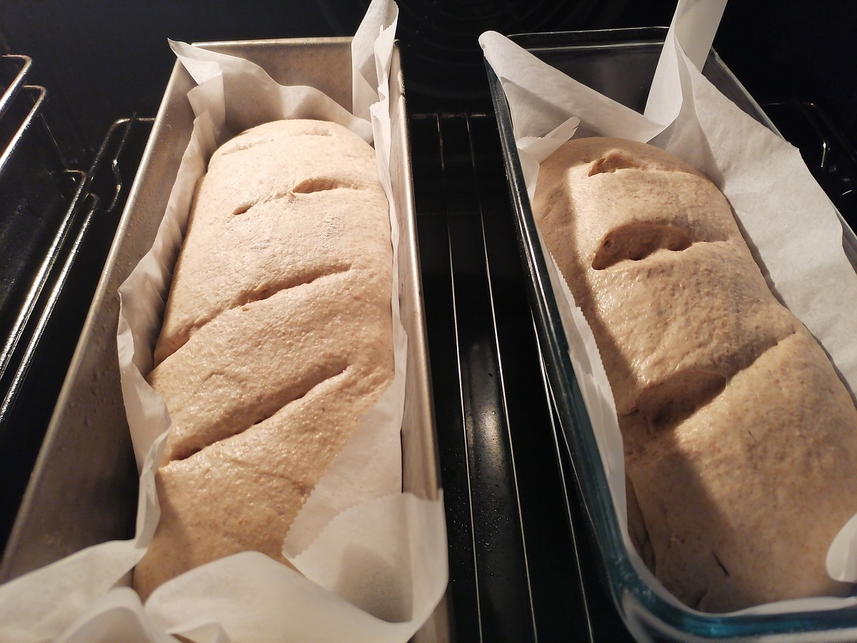 Das beste Rezept für selbstgebackenes Brot