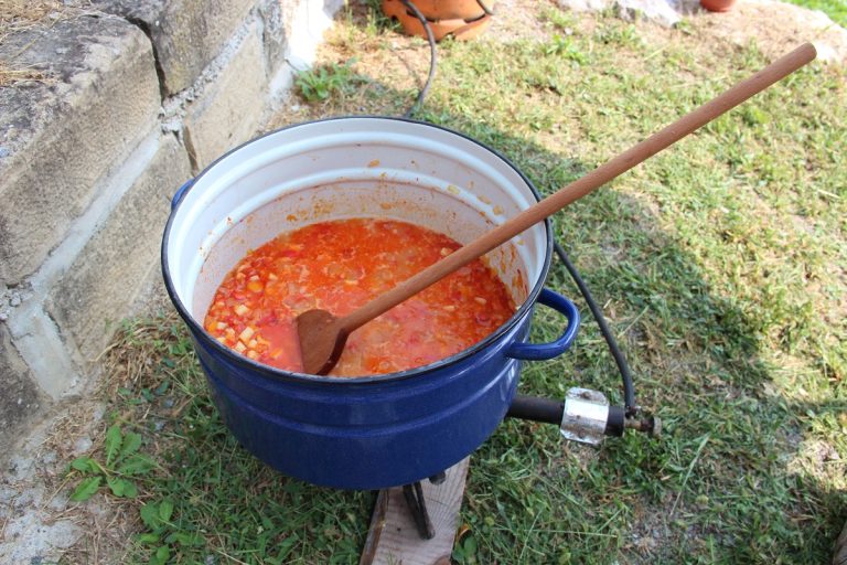 Preporučujemo knjigu Hrono kuvar, dr Ana Gifing